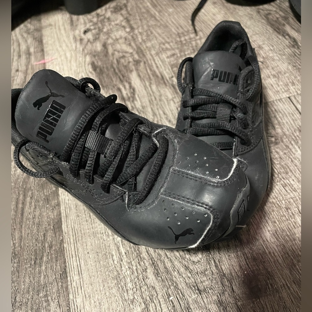 Black puma